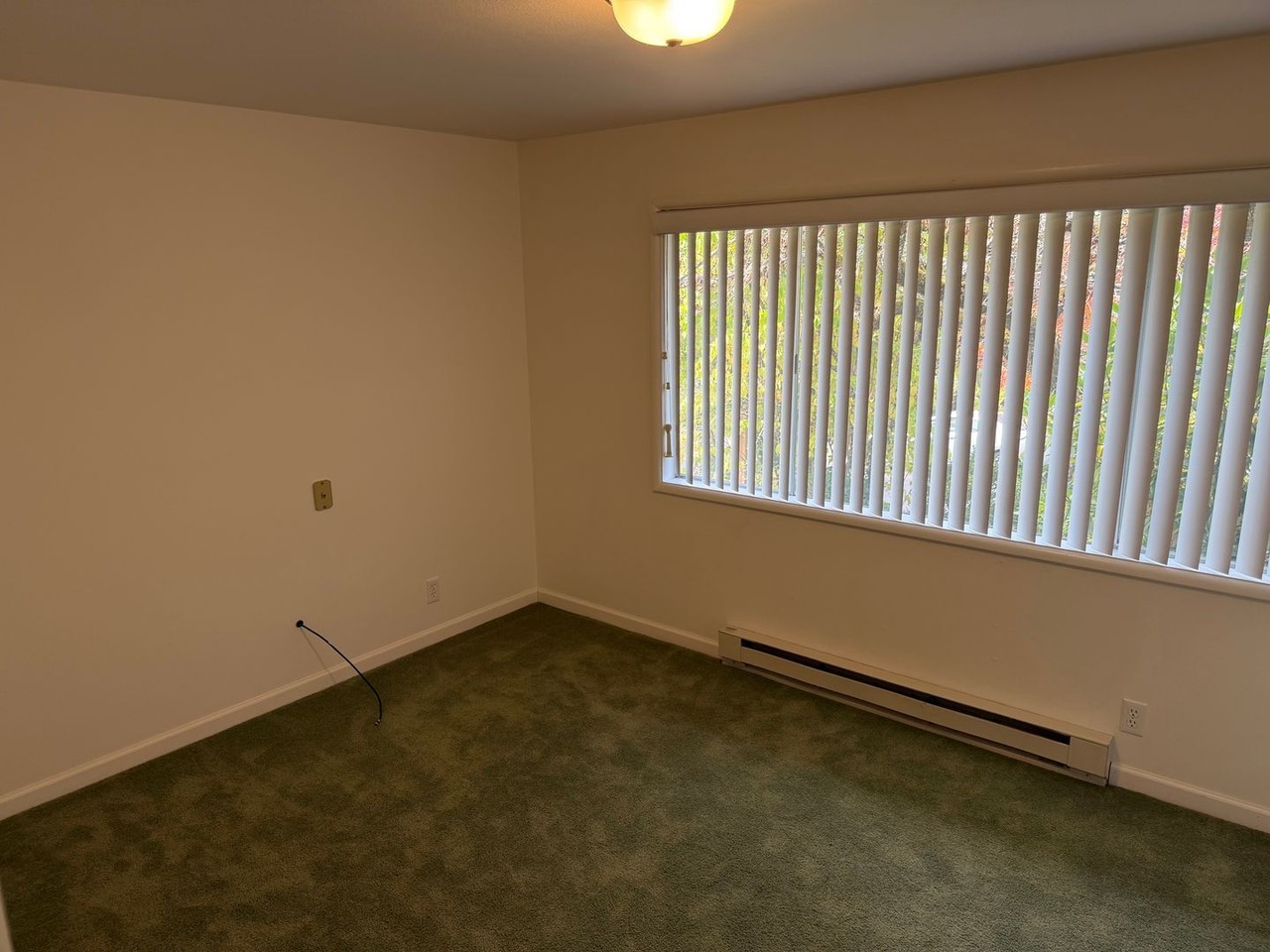 4865 Whiteaker St - Photo 6 of 18