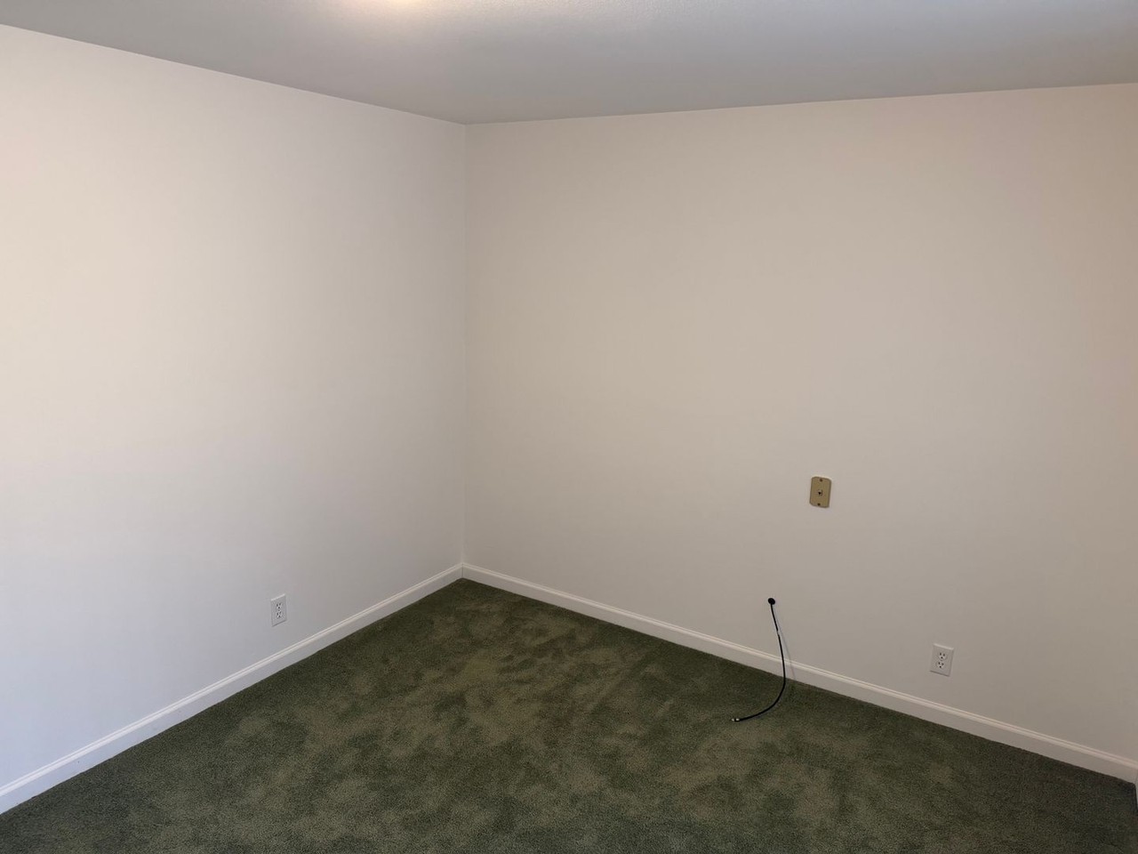 4865 Whiteaker St - Photo 7 of 18