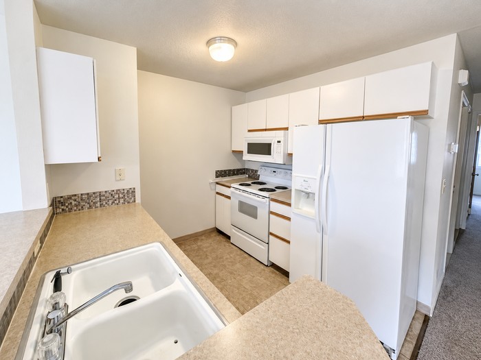 525 Caribou Dr #D - Photo 5 of 12