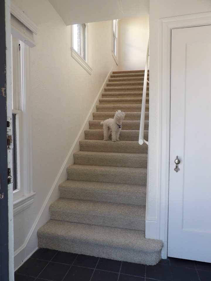 4234 Travis St #NA - Photo 5 of 31