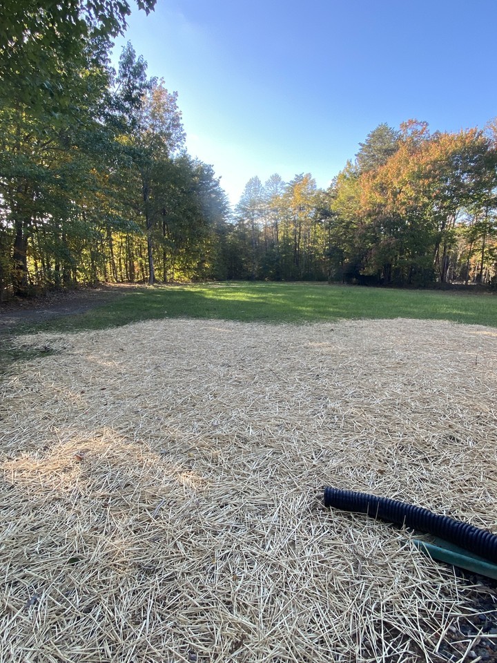 217 Johnson Rd #NA - Photo 5 of 19
