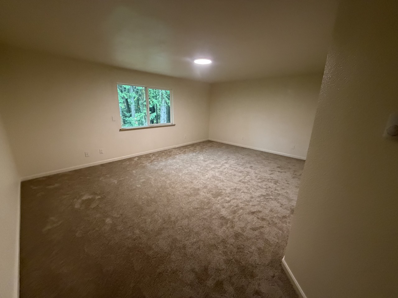 5803 Kitsap Way #5803 - Photo 3 of 14