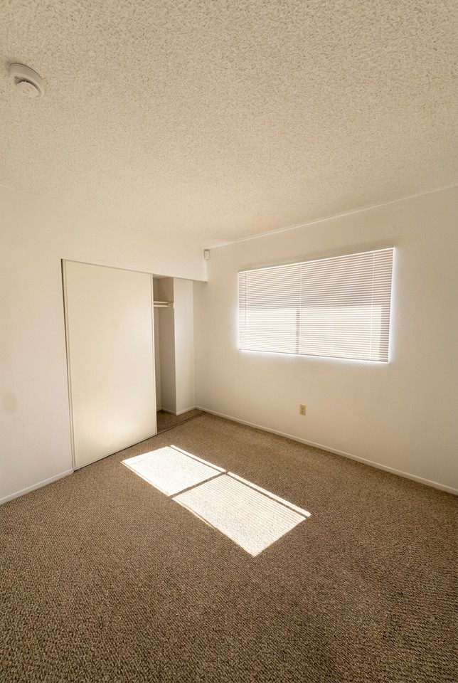 1127 Calle Linares #1 - Photo 6 of 17