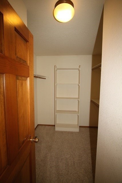 12901 Trent Cir - Photo 3 of 32