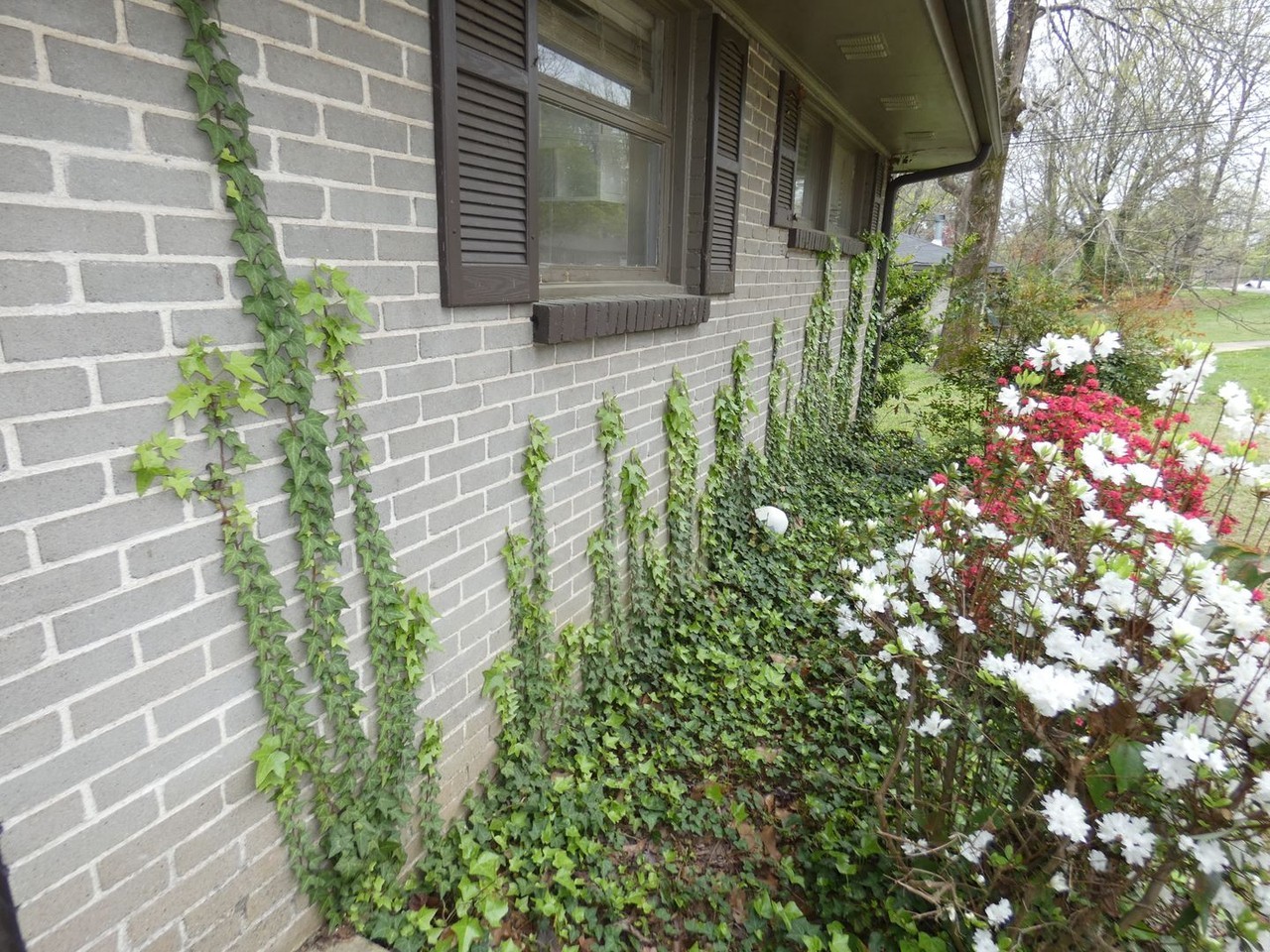 5137 Scenic View Dr - Photo 3 of 12