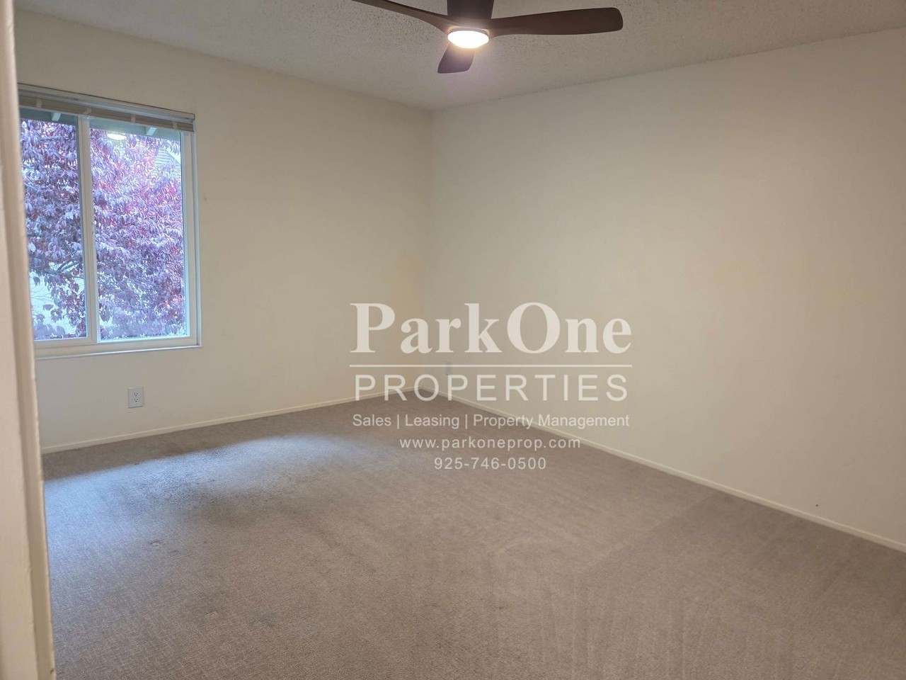 2562 Walnut Blvd #96 - Photo 7 of 10