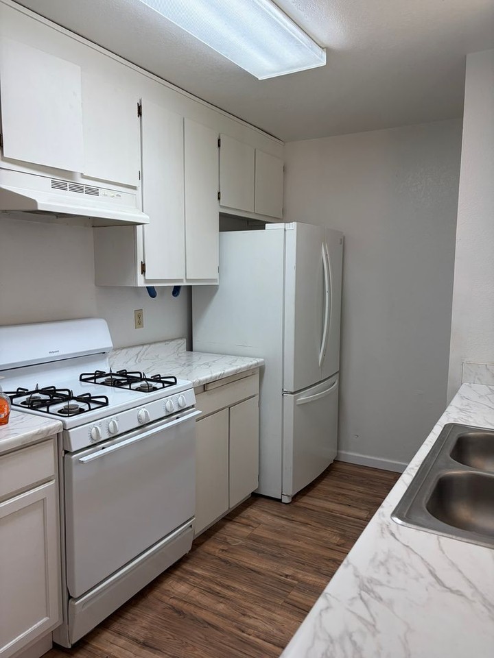 2610 Lupine St - Photo 3 of 16