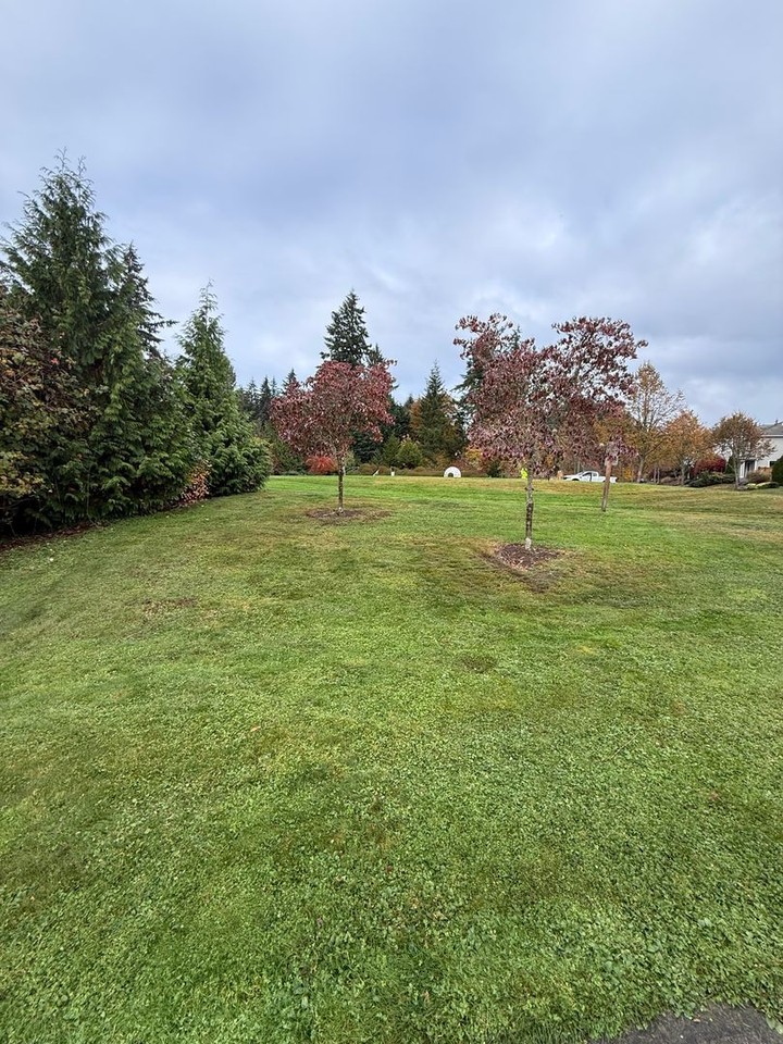 1097 Hiton Cir - Photo 4 of 43