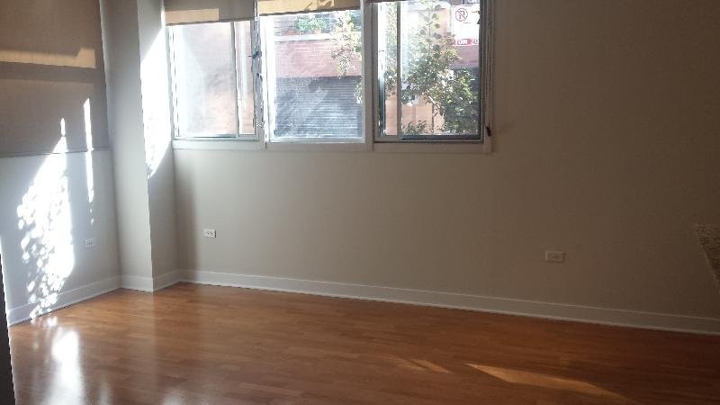 648 W Fulton Market #906 - Photo 5 of 20
