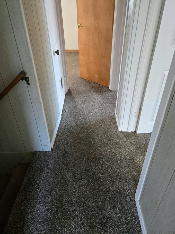 411 Louisiana Ave - Photo 5 of 20