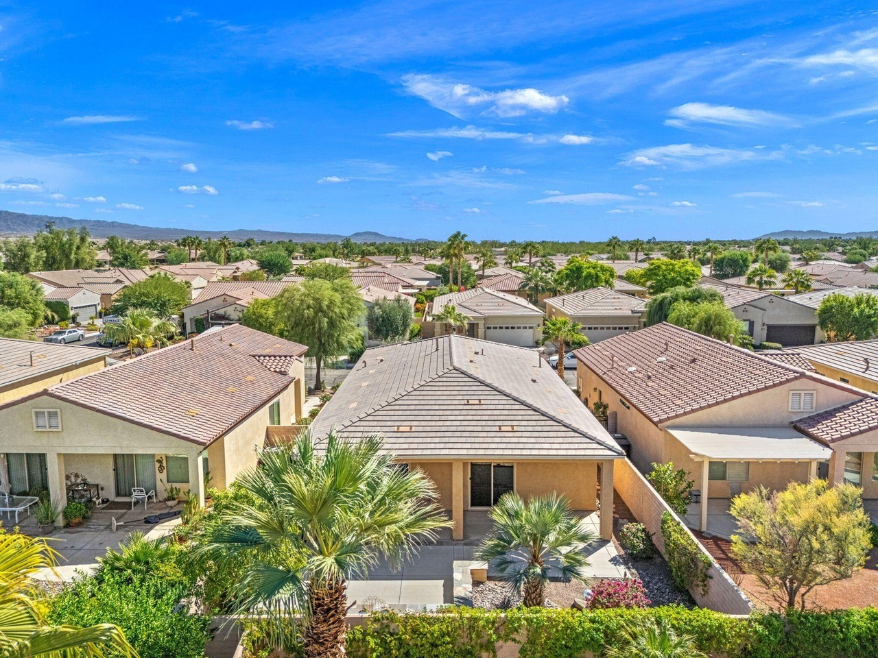 39033 Camino Orquesta - Photo 3 of 43