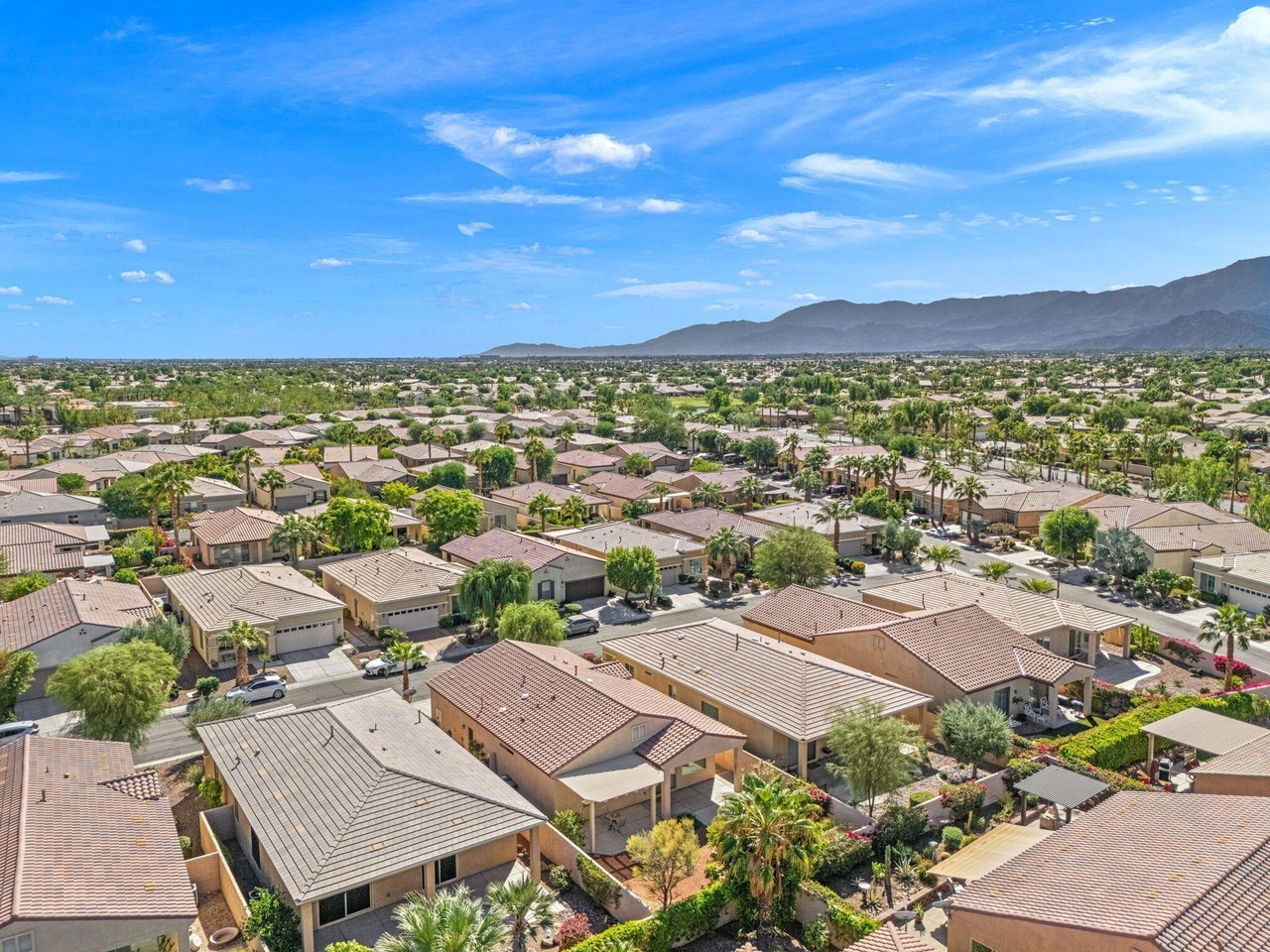 39033 Camino Orquesta - Photo 4 of 43