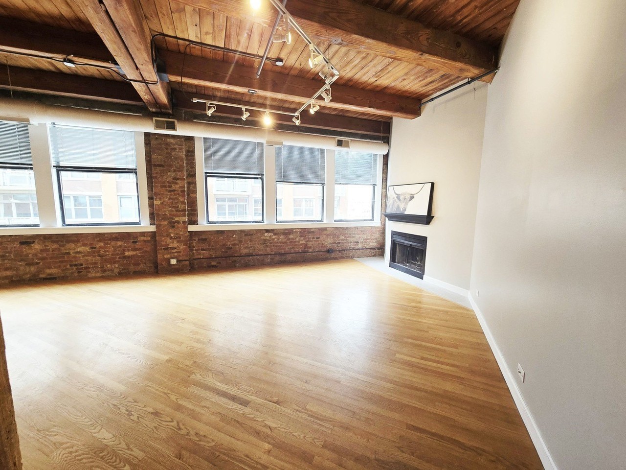 913 W Van Buren St #5E - Photo 3 of 22