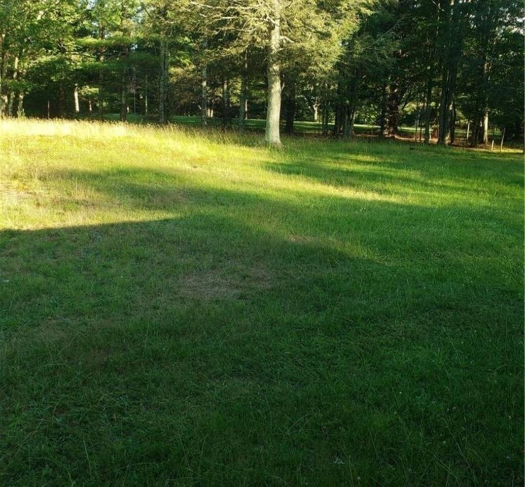 167 Old Turnpike Rd - Photo 7 of 8