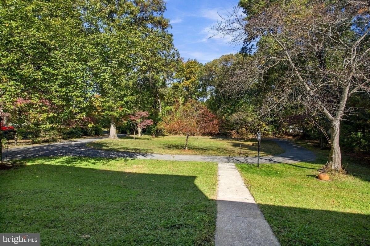 8325 Woodland Rd - Photo 4 of 36