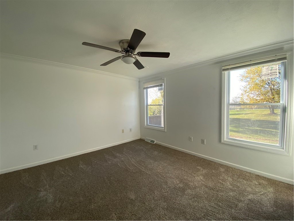 228 Fingal St - Photo 5 of 25