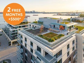Echo at North Harbour - Photo 1 of 1