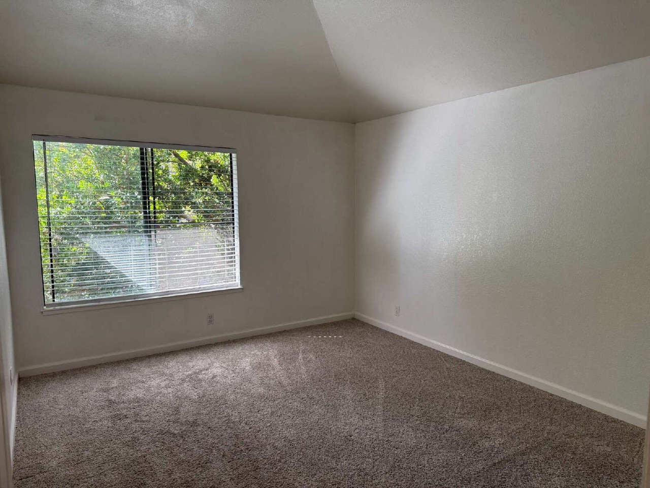 4523 Waterville Dr - Photo 7 of 10
