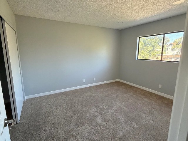 20447 Arminta St - Photo 5 of 19