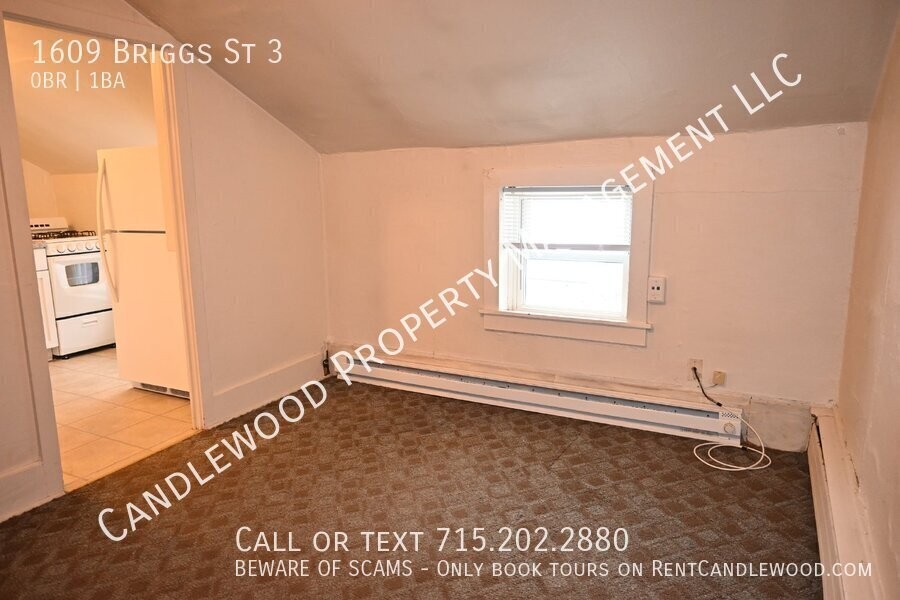 1609 Briggs St - Photo 5 of 14