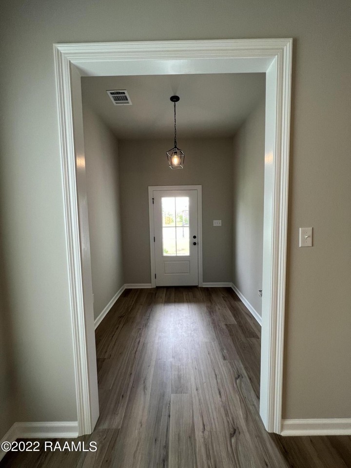 307 Grassy Meadows Ln - Photo 4 of 34
