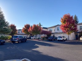 featured image of 3365 Bodero Ln