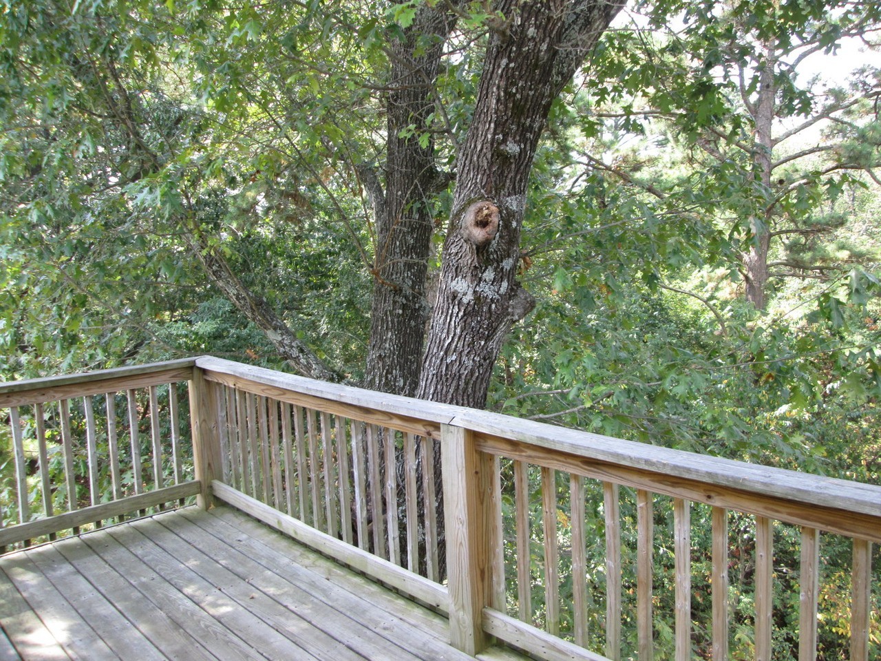145 Lillian Ln - Photo 7 of 8