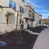 16114 Veridian Cir - Photo 1 of 1