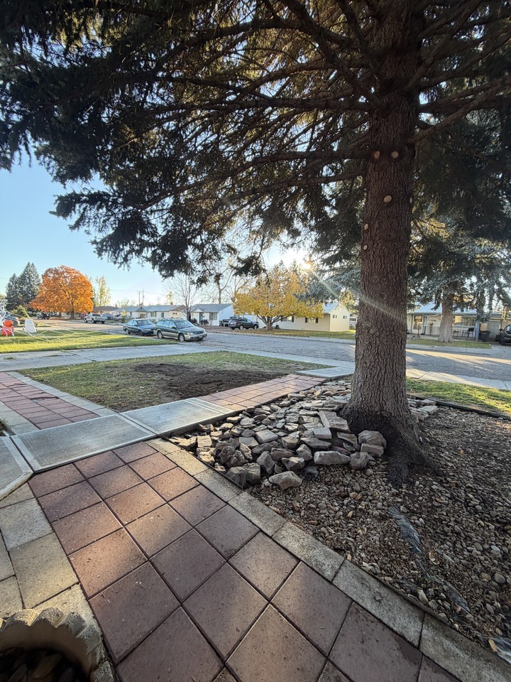1085 Cathryn Ave #NA - Photo 4 of 10