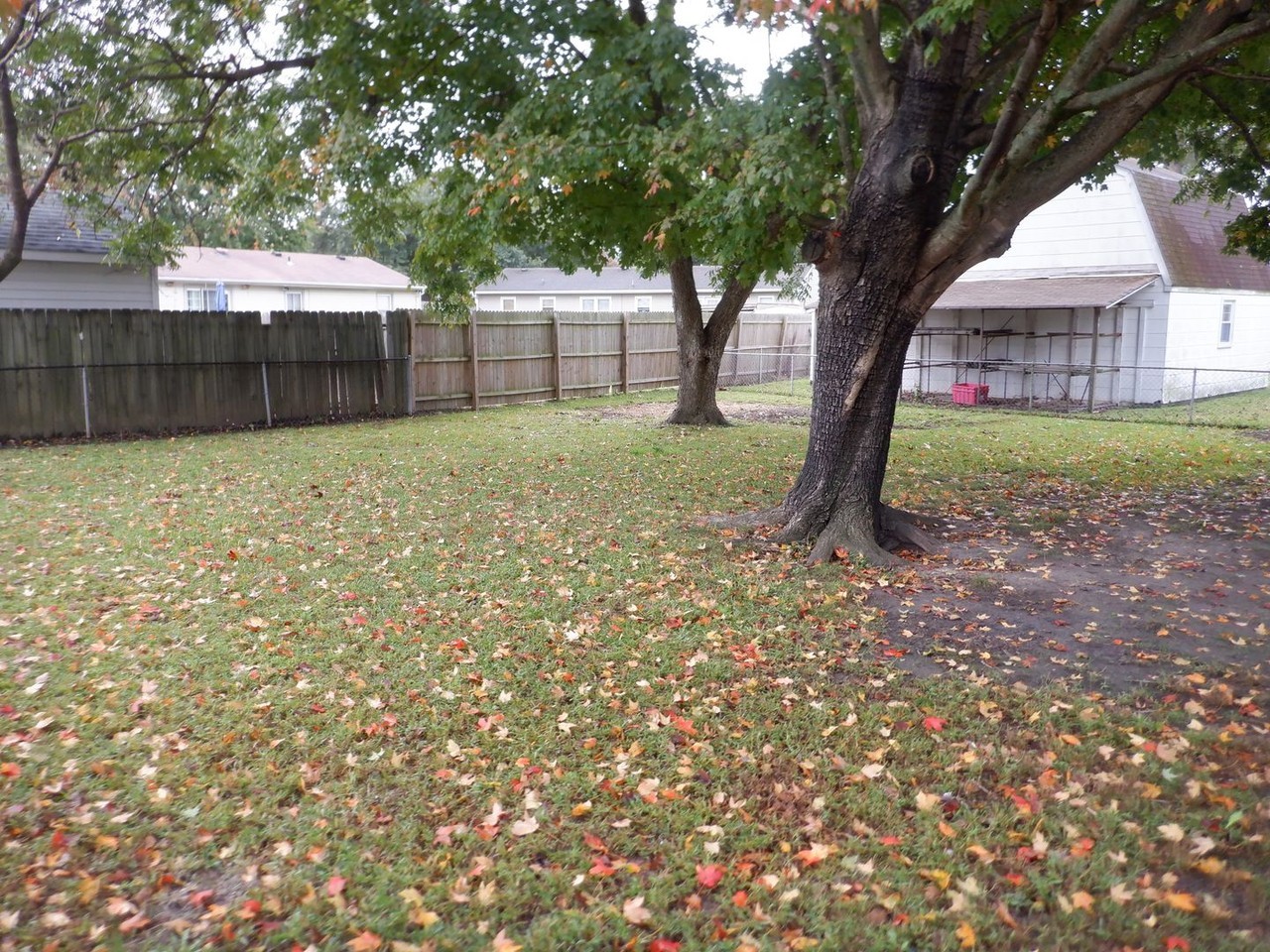 3305 Pattie Ln - Photo 5 of 20