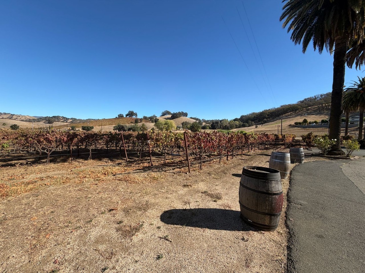 5071 Suisun Valley Rd - Photo 4 of 44