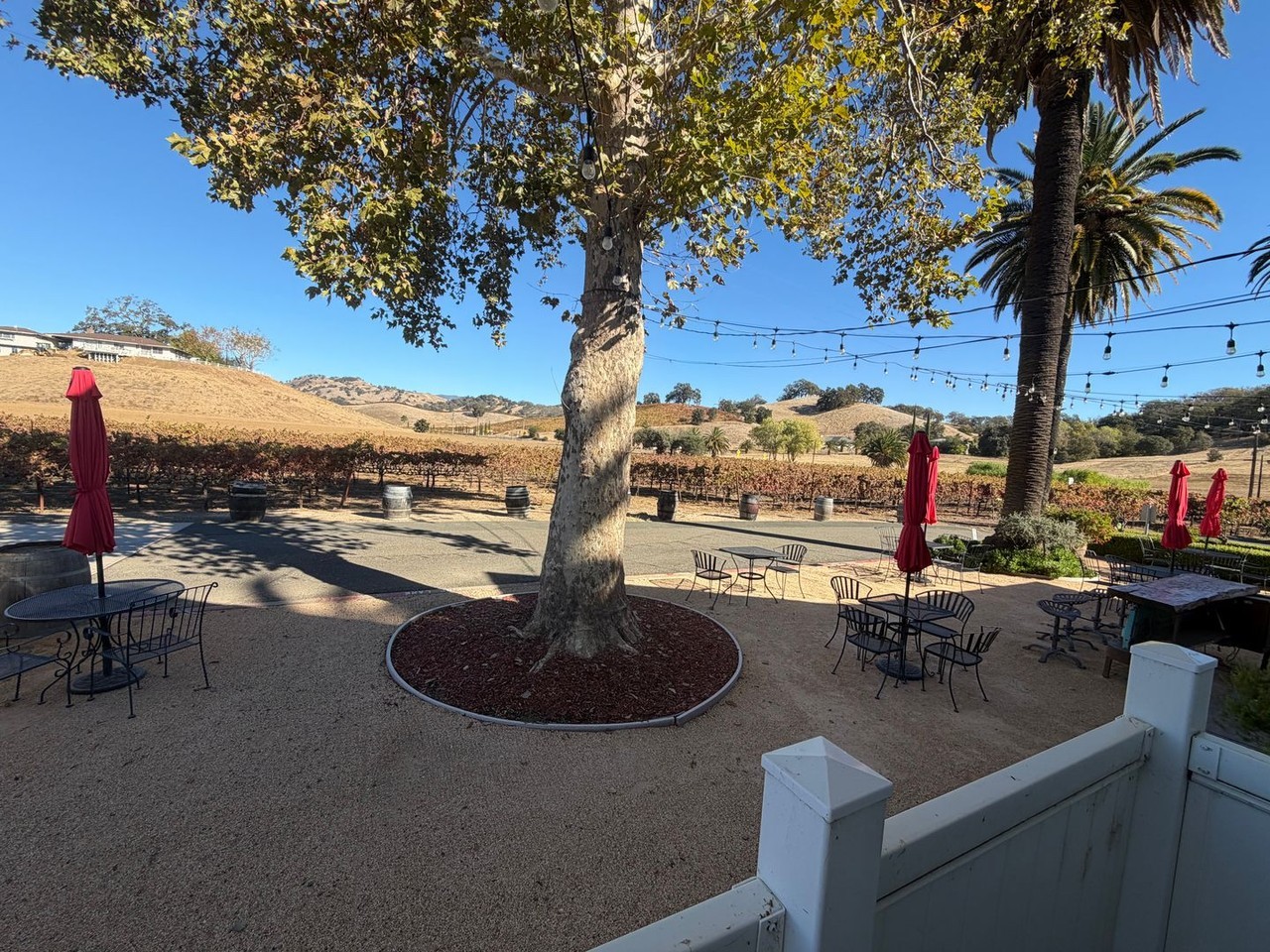 5071 Suisun Valley Rd - Photo 5 of 44