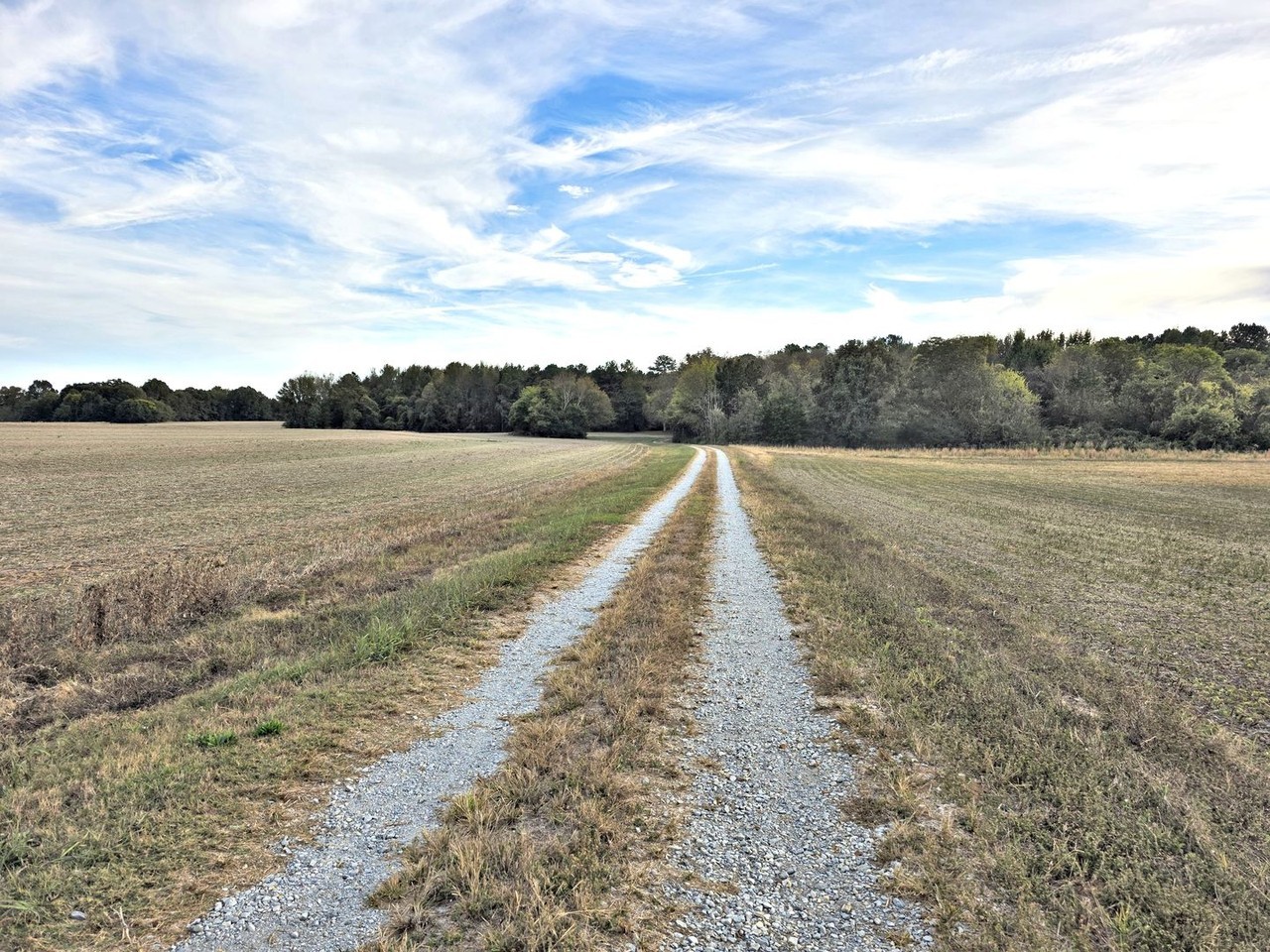 26268 Copeland Rd - Photo 2 of 35