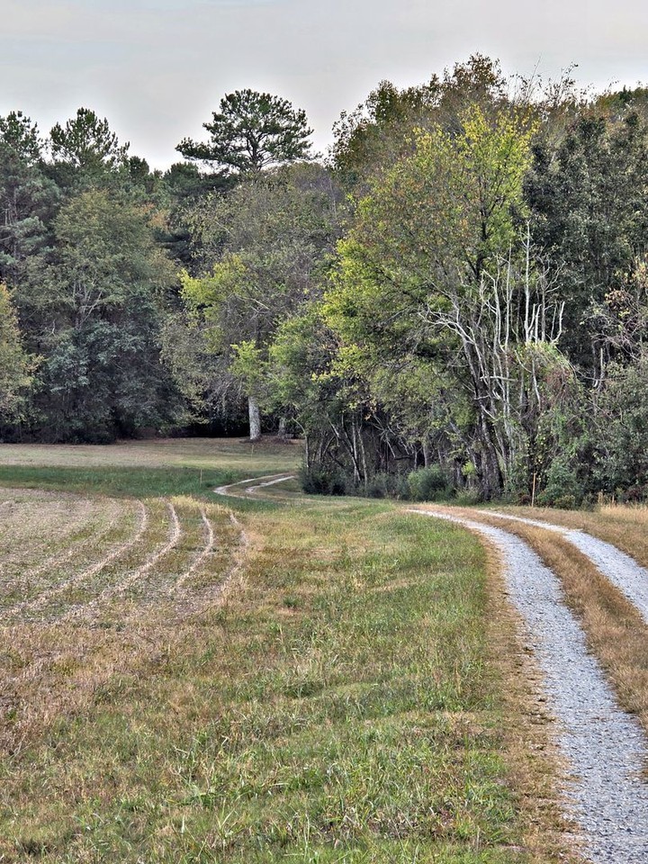 26268 Copeland Rd - Photo 3 of 35