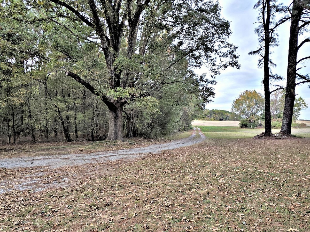 26268 Copeland Rd - Photo 4 of 35