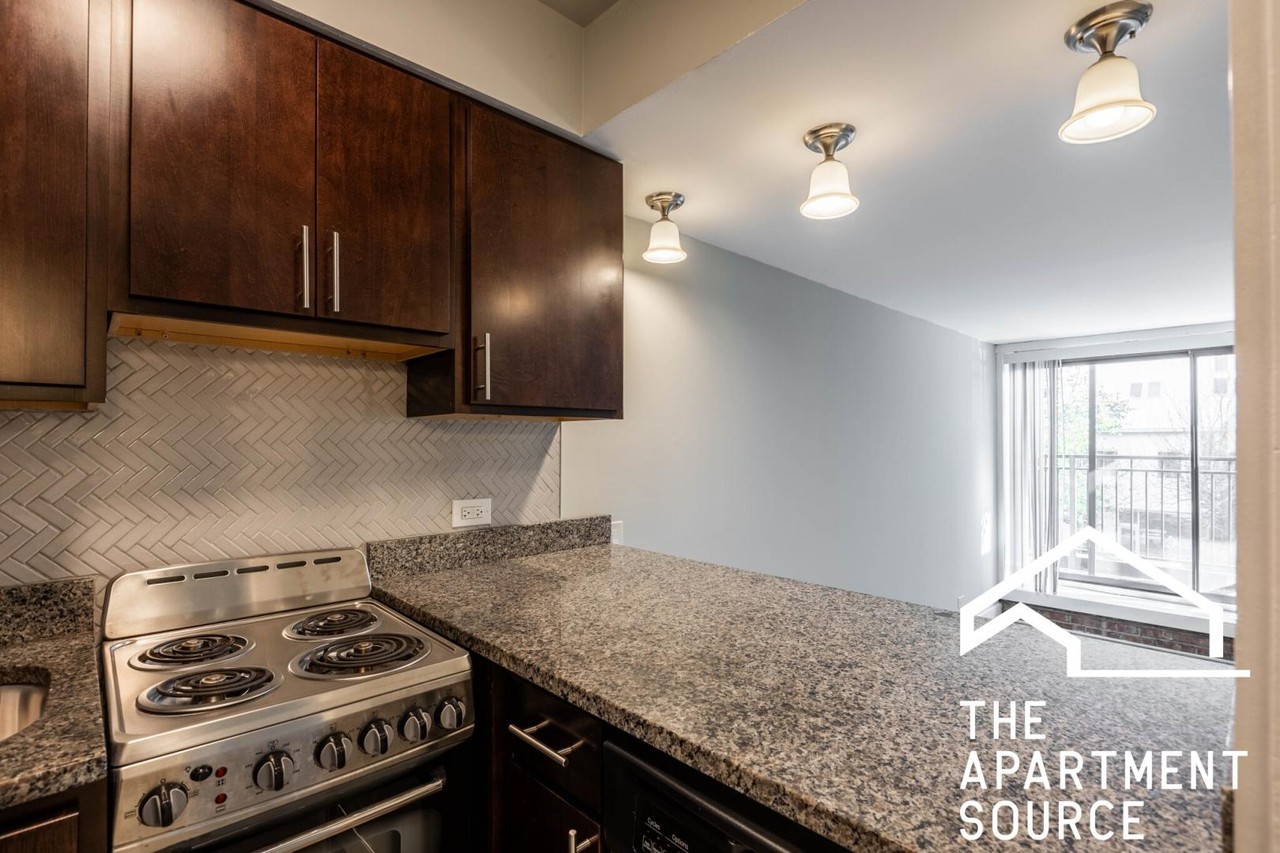 1220 N La Salle Dr #B3 - Photo 3 of 17