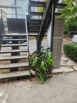 Cheri Plaza Apartments - Photo 1 of 1
