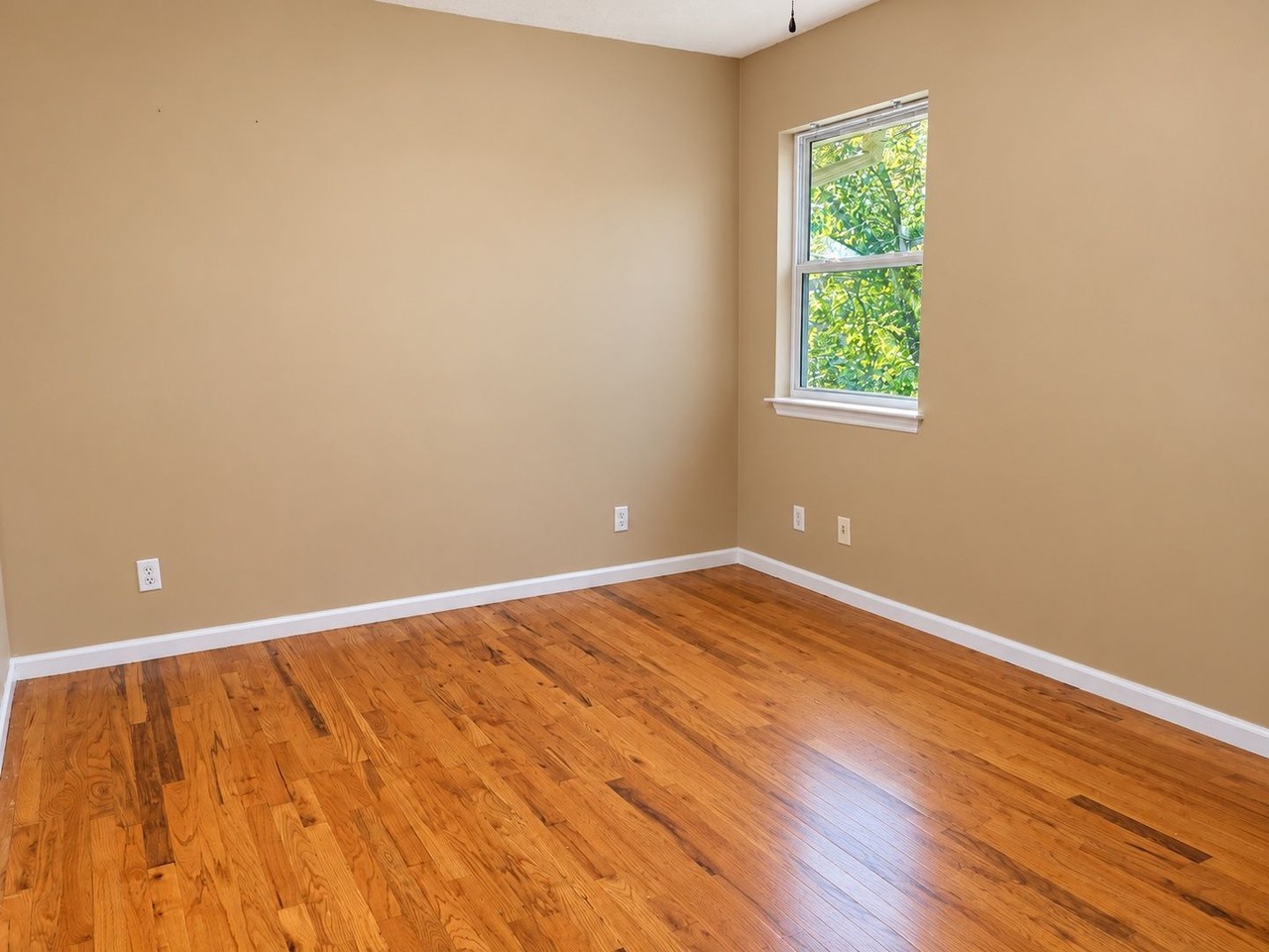 402 Hall St #C - Photo 6 of 9
