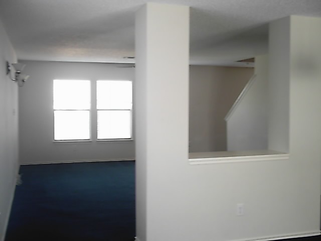 1610 Alazan Cv - Photo 6 of 12