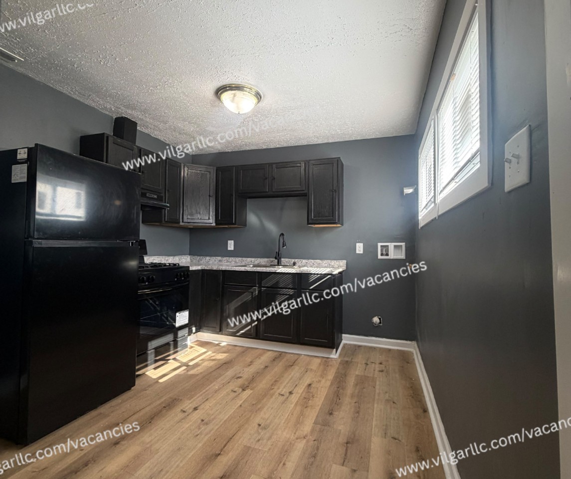 549 E 47th Pl - Photo 4 of 20