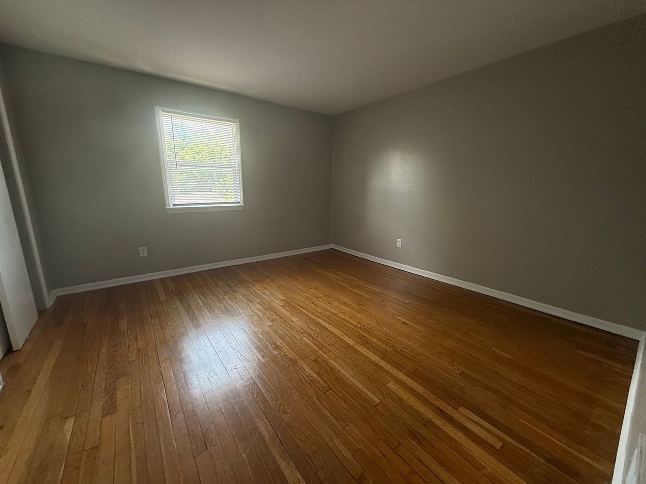 5247 Boy Scout Rd #4 - Photo 5 of 10