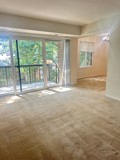 9708 Kingsbridge Dr Apt 302 - Photo 1 of 1