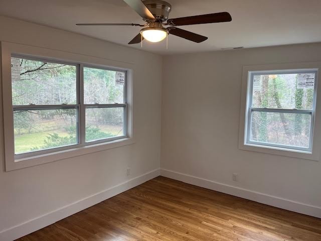 2715 Greenville Hwy #5 - Photo 5 of 8
