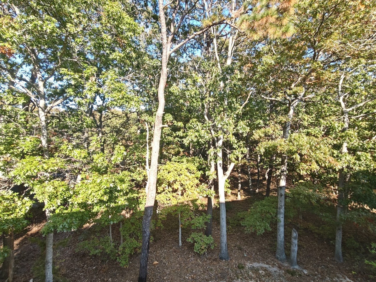 242 Colonial Ct - Photo 3 of 14