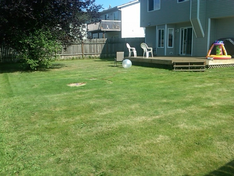 16565 153rd St Se - Photo 7 of 16