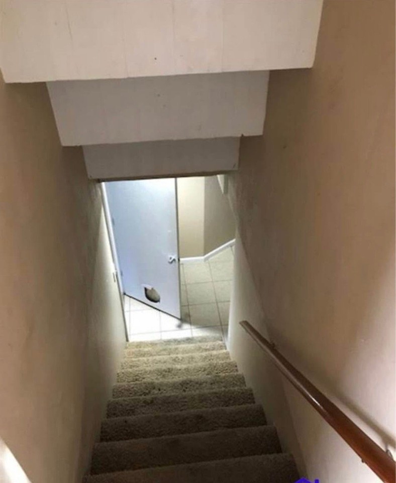 404 Sycamore St - Photo 6 of 10