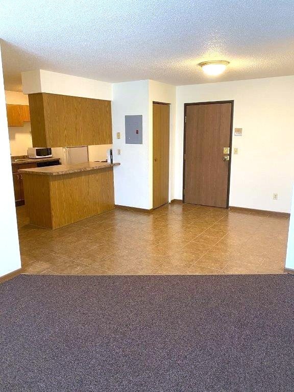 750 5th St S #203 - Photo 3 of 10
