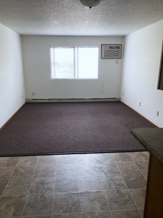 750 5th St S #203 - Photo 4 of 10