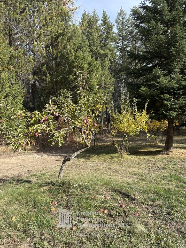 378 Shingle Mill Loop #1 - Photo 6 of 20