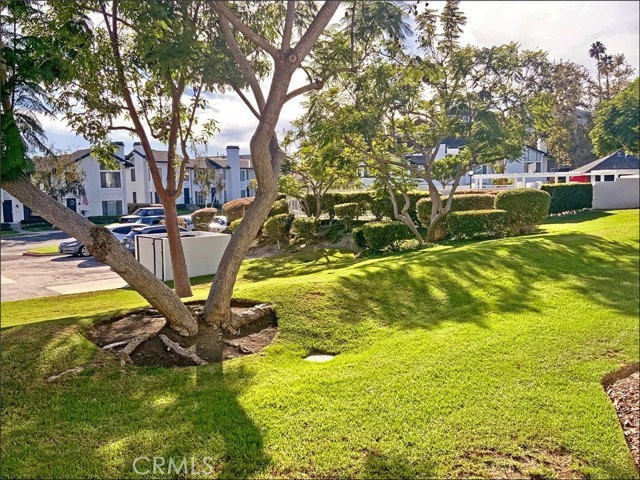 25594 Paseo La Cresta #71 - Photo 4 of 8
